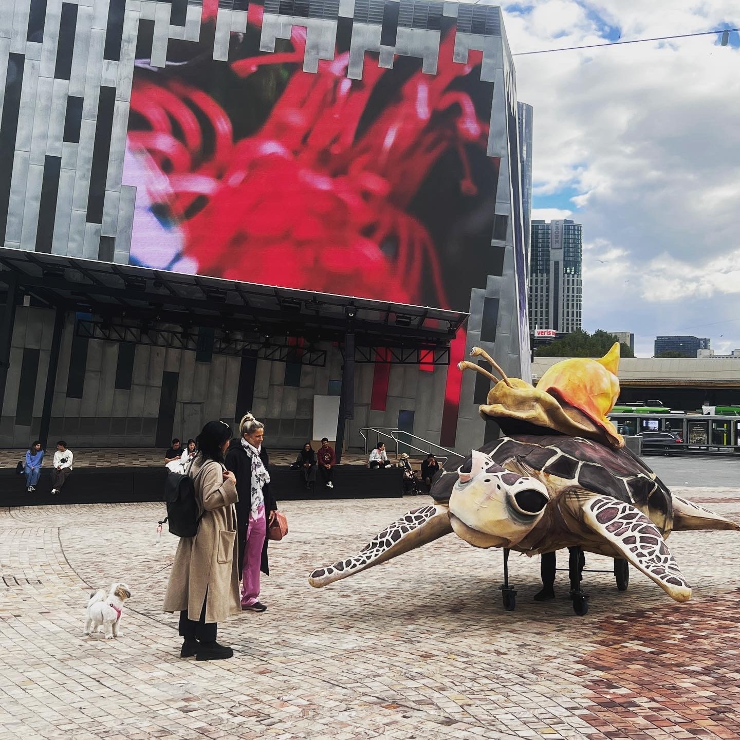 Sanctum Studio, Cosmic Turtle, Federation Square