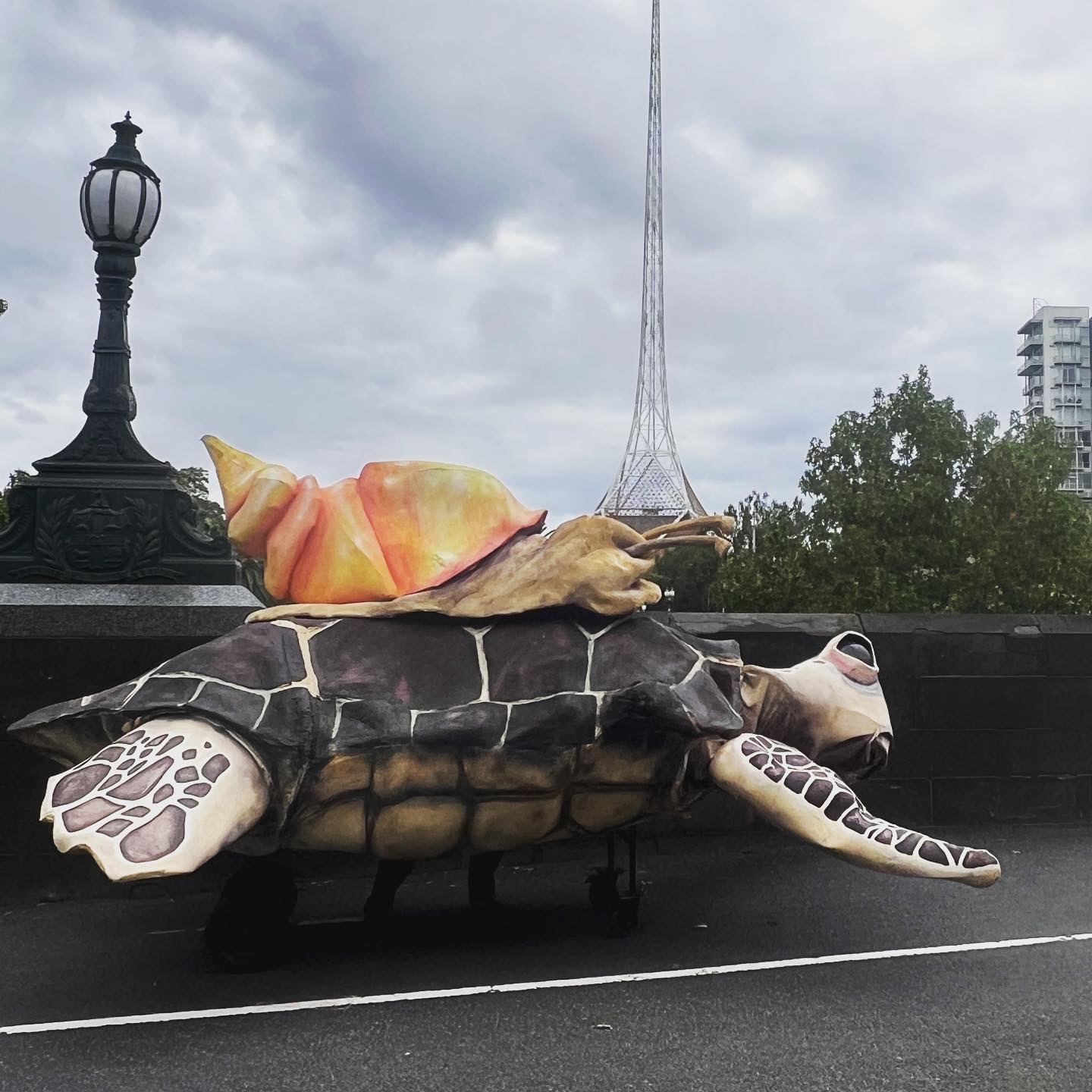 Sanctum Studio, Cosmic Turtle, Federation Square