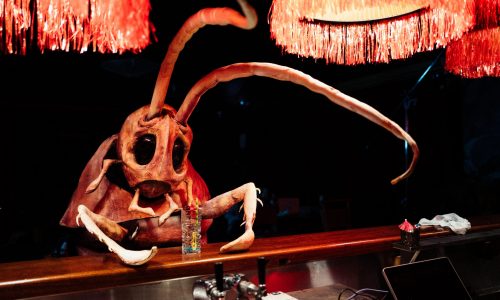 Sanctum Studio's cockroach puppet in No Longer Human, directed by James Haggarty