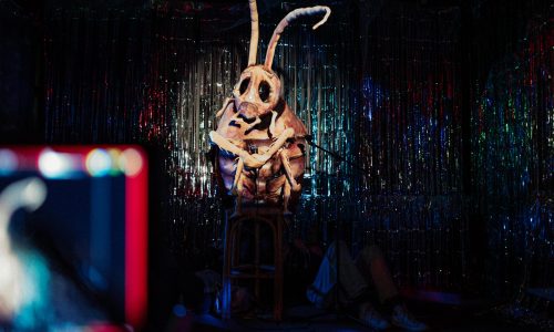 Sanctum Studio's cockroach puppet in No Longer Human, directed by James Haggarty